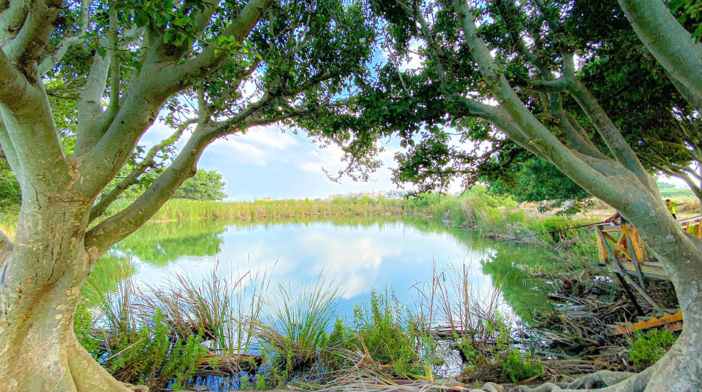 Tyre Coast Nature Reserve , Lebanon